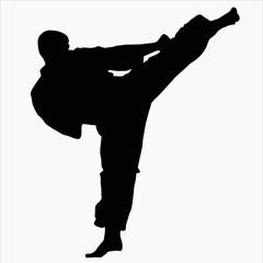 silhouette men karate fight taekwondo vector © MJD_Studio