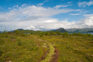 Fototapeta na wymiar Path for hikers on a meadow in the mountains in Abisko National Park in Sweden
