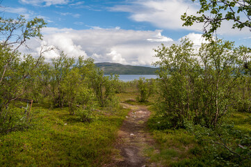 Obraz premium Hiking trail in nature in the mountains by the lake in Abisko National Park in Sweden