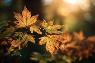 Fototapeta premium Natural autumn background with golden yellow and orange maple leaves glowing in the sun on a gentle blurry light green background. AI generative