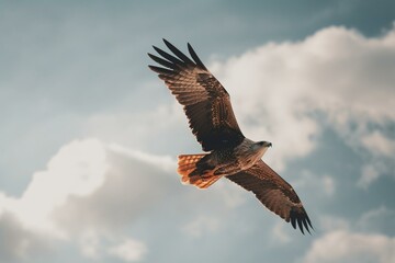 Fototapeta na wymiar A bird soaring through the sky. Generative AI