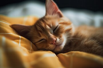 orange kitten napping on the blanket Generative AI