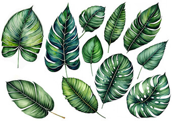 Water color leaves of tropical plants. leaf texture for Water color design.They are on for cut white background.Generative Al.