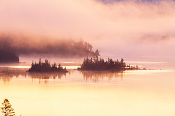 Fototapeta premium Islands with pine trees on a boundary waters lake shrouded in fog at dawn