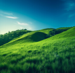 Fototapeta premium Green field with sky and clouds, in the style of windows xp, smooth curves, serene landscapism. Generative AI. 