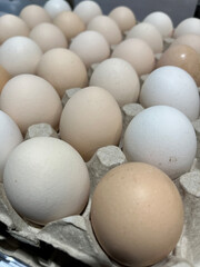 Fresh Farmer Chicken Eggs in Grocery Store