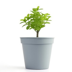 Lush Green Potted Plant on Pure White Background - Created with Generative AI and Other Techniques