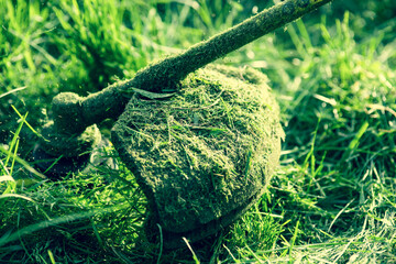 mowing the grass with a lawn mower, garden work concept background