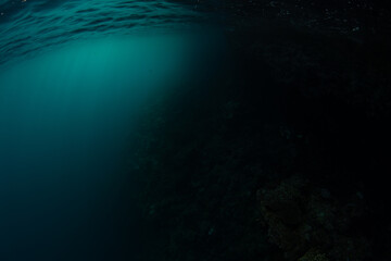 Late afternoon light shines into the dark waters of a remote bay in Raja Ampat, Indonesia. This remote part of Indonesia is known for its incredible marine biodiversity.