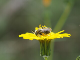 OLYMPUS DIGITAL CAMERA
ISO-200
f/6.3
1/100 sec.