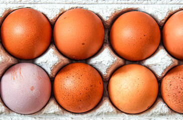 Fresh domestic eggs isolated on a white background. Organic food