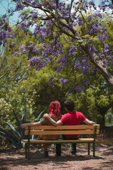 Pareja de enamorados sentados en una banca a la sombra de una jacaranda