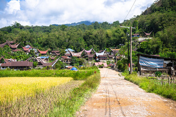 traditional village of tana toraja land, indonesia