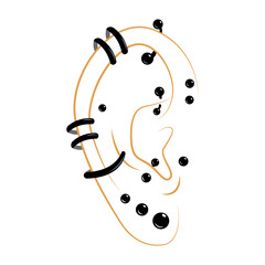 Line drawing of pierced ear with different types of perforations flat vector
