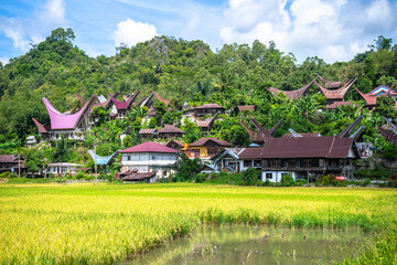 traditional village of tana toraja land, indonesia