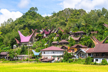 Fototapeta na wymiar traditional village of tana toraja land, indonesia