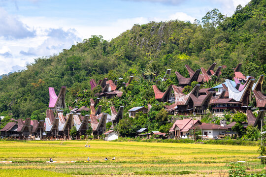 traditional village of tana toraja land, indonesia