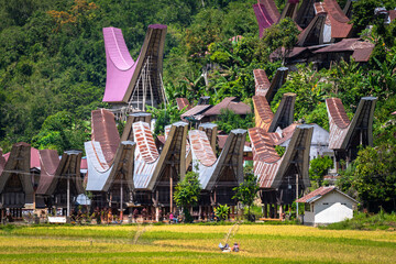 traditional village of tana toraja land, indonesia