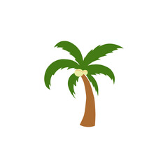 illustration of a coconut tree
