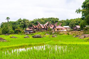 Obraz premium traditional village of tana toraja land, indonesia