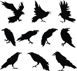 Dark as Night- Set of 10 Raven, Crow, and Black Bird Vector Silhouettes