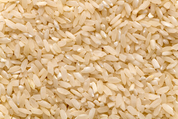 Carolina plantation rice texture background, macro. South Carolina golden rice.
