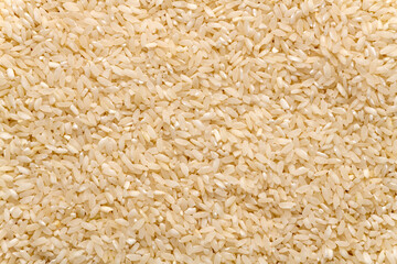 Carolina plantation rice texture background, closeup. South Carolina golden rice.