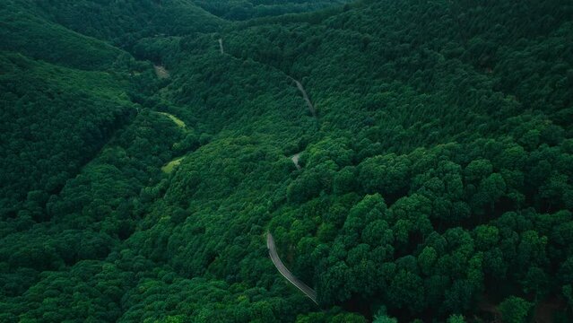 Dreamy Basque Country Euskadi mountain and forest 4K drone