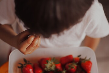 Little boy in a white shirt, is eating delicious red strawberries, with his hand.