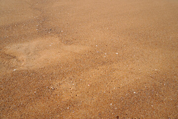 sand on the beach. Red sand background and texture