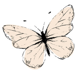 Narysowany beżowy motyl dekoracja © Monika Janiak-Klicha