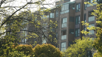 The beautiful garden view with the fresh green trees in spring