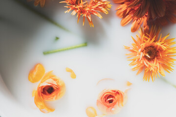 flowers in milk bath