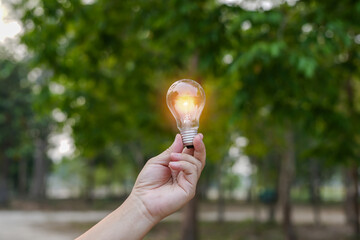 Light bulbs that grow, in the concept of energy in nature.