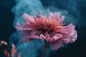 A big pink flower with smoky center on blue with smaller pink flower. Generative AI