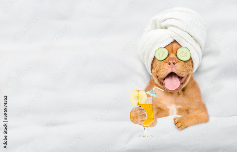 Aufkleber Funny Mastiff puppy with towel on it head and with a pieces of cucumber on it eyes holds apple cocktail and relaxing on the bed at home. Top down view. Empty space for text