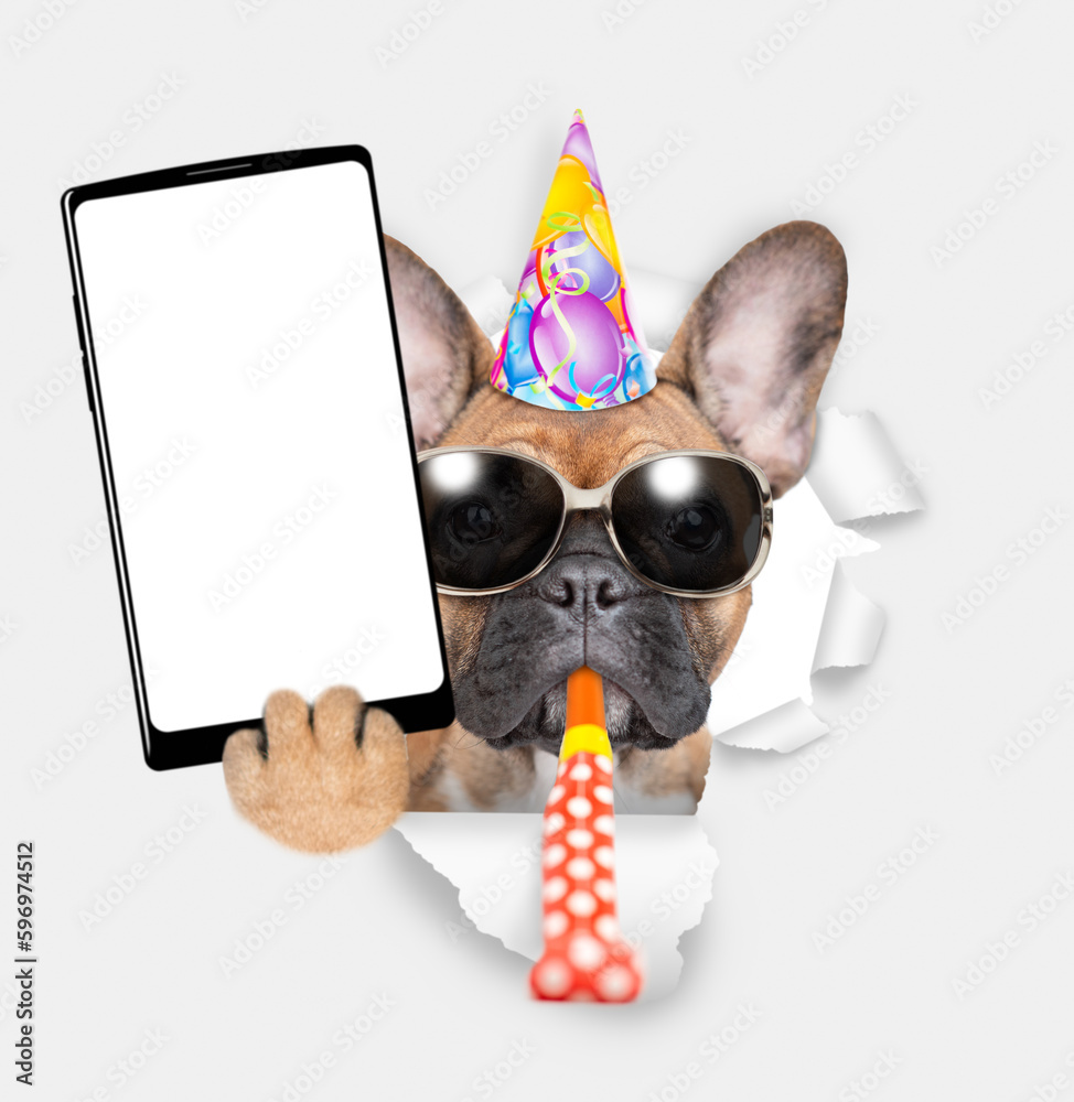 Aufkleber happy french bulldog puppy wearing sunglasses and party cap blows in party horn and shows big smartp