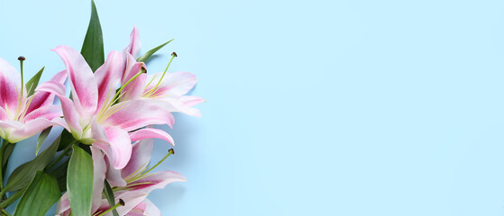 Beautiful lilies on light blue background with space for text