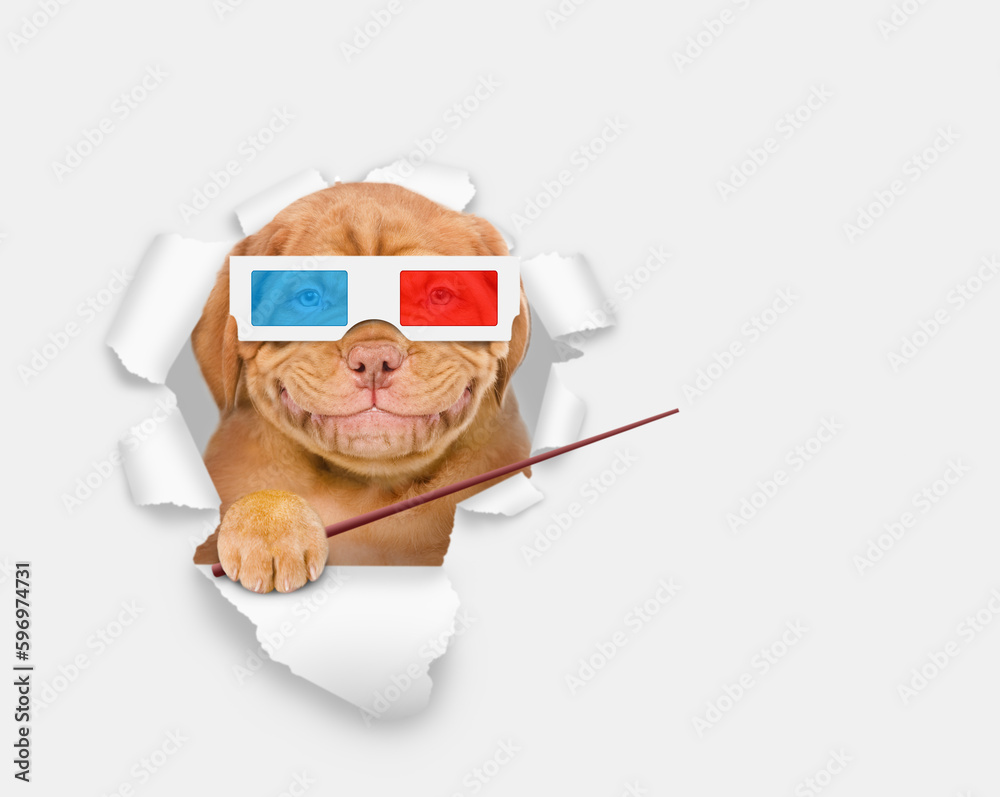 Poster happy puppy wearing 3d glasses looking through the hole in white paper and pointing away on empty sp