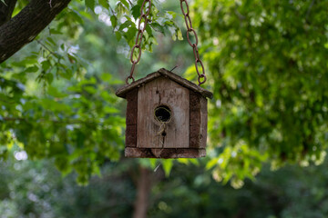 Closeup of a wooden birdhouse hanging from a tree branch