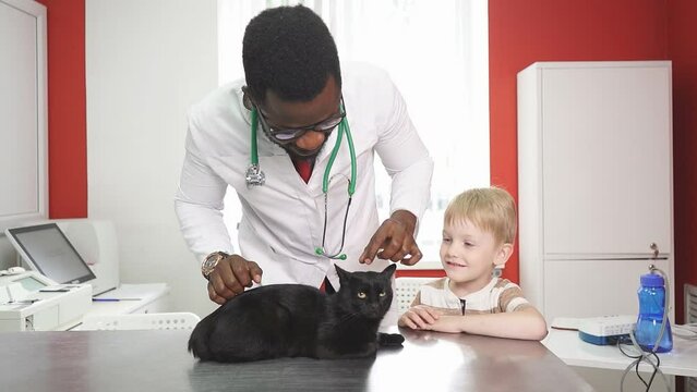 Professional African veterinarian doctor examines a cute black cat while its owner stands nearby.