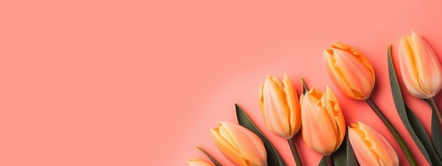 Bunch of tulips on an orange background flat style for Mother's Day
