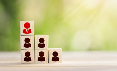 Human resource management and recruitment business concept. Leadership and corporate hierarchy...