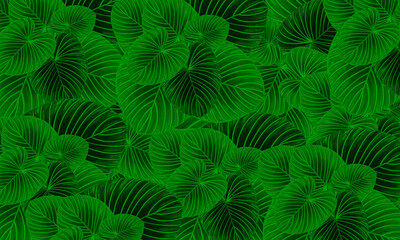 Naklejka na ściany i meble Green tropical leaves spring nature wallpaper background