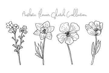 Aesthetic Spring and Summer Flower Sketch Collection