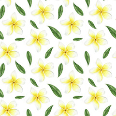 Yellow plumeria flowers. Tropical exotic flowers. Watercolor seamless pattern on a white background. For fabric, wallpaper, scrapbooking, packaging paper