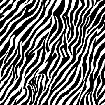 Zebra stripes texture 6, seamless vector SVG with transparency