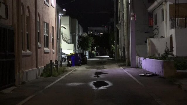 Looking down an alley way at night exterior empty vacant