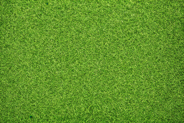 Beautiful green grass pattern, Generative AI