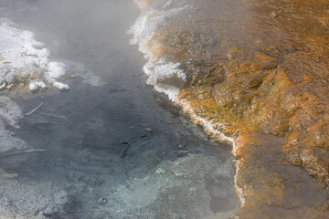 Steam surrounds white silica formations Orakei Korako geothermal landscape